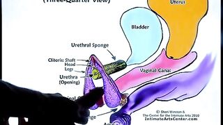 How to squirt like a pro with Mr PussyLicking’s ultimate guide