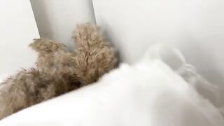 Sniffed panties and fucked curva in a wet pussy, real orgasmic finish