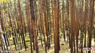 A brunette girl was roughly fucked outdoors in the wood