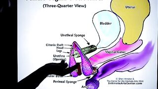 How to squirt? The ultimate guide by Mr. PussyLicking, a true cunilingus enthusiast!