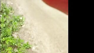 I picked up a hot girl in the park and we had sex