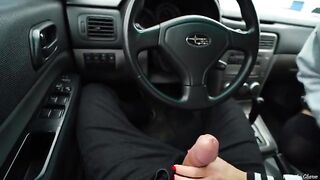A fan met his idol and got intimate in her car