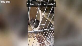 A short time ago, a short time sex in a capsule hostel