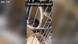 A short time ago, a short time sex in a capsule hostel