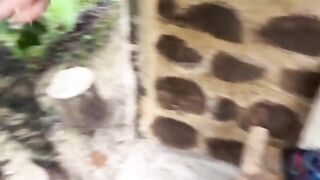 A couple got caught having sex in the middle of the jungle