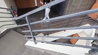 FMM threesome with fake agents and perfect ass