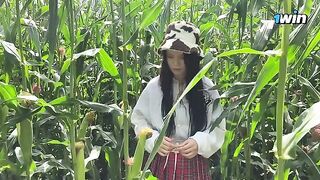 A security guard issued a ticket to a thief in the cornfield