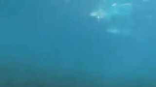 Two aqua sex workers have sex right in the water