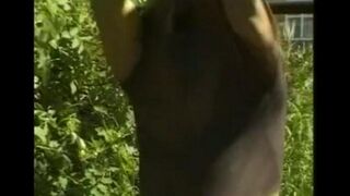 A man caresses his huge cock in the hayloft, imitating a blowjob