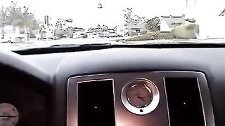 Nikki makes a blowjob right in the car, it’s daring!