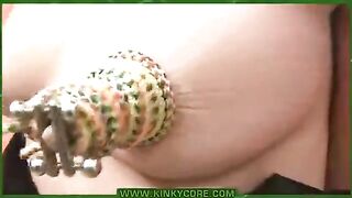 The man stuck needles in the labia of his bitch