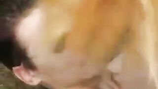 Babe was walking in the park and had sex with a young guy