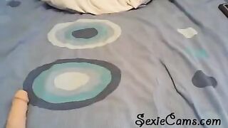 Fucked with a toy in front of the webcam