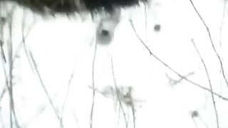 Winter blowjob on the street for everyone to see