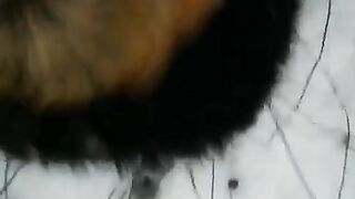 Winter blowjob on the street for everyone to see