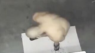 A naked man has been filmed in the shower with a hidden camera