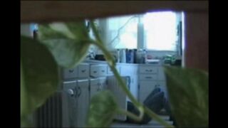 A married couple has no sex for a long time, so they fuck on cam