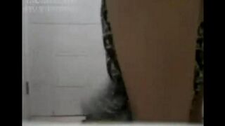 Asian beauties have sex while rolling on the floor