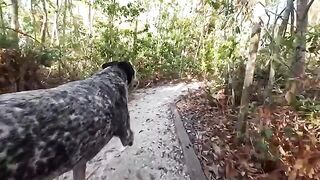 A guy finishes up with a wild release in a spicy scene