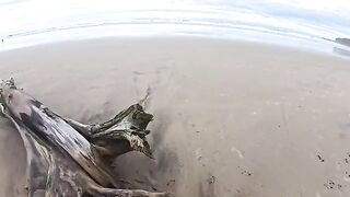 The beach is always wet - from the water and because of the intimate encounters